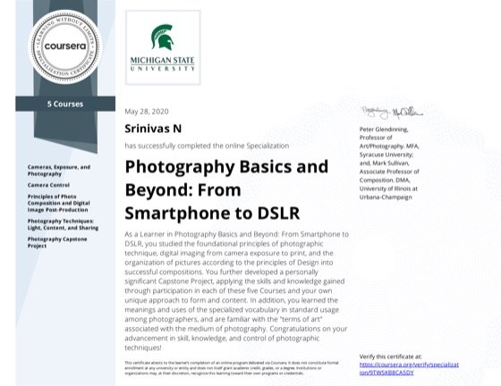 Coursera specialization certificate, Michigan State University